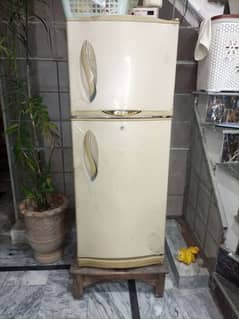 waves refrigerator