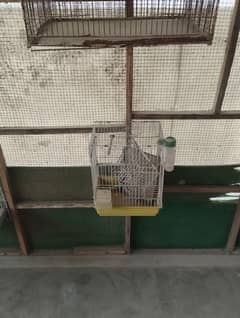 Used cages for birds | Birds cages for sale