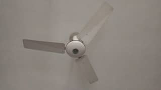 Fans for sale