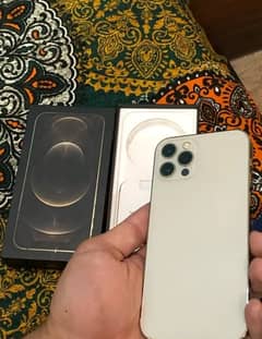 iphone 12 pro