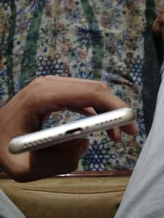 Iphone 7 pta approved