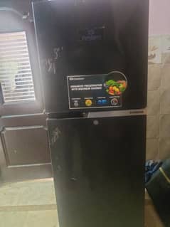 freezer 1 month use only
