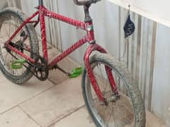 cycle