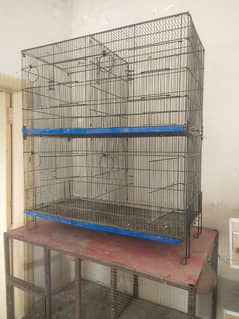 Bird Cage