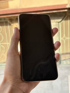11 Pro Max