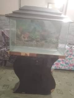 fish aquarium for sale