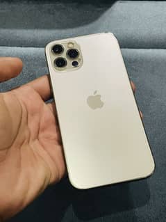 12 pro dual pta approved