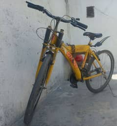 phonex Giant bicycle