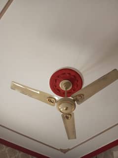 ceiling