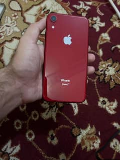 I phone Xr