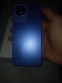 vivo