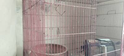 cage for birds 3 cages