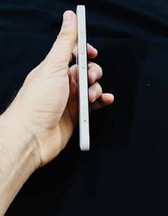 iPhone 13/512 GB