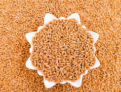 Saff Pure Gandum