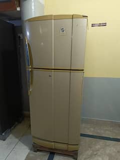 PEL