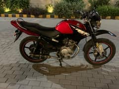 Yamaha YBR 125 Model 2018 Converted to 2025 | Total Geniune