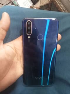 vivo