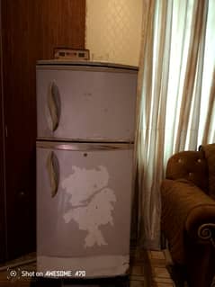 waves refrigerater