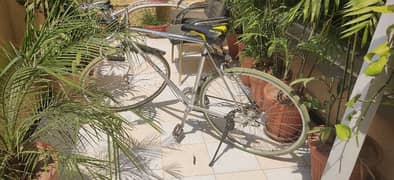 SHIMANO