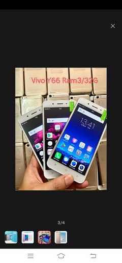 vivo