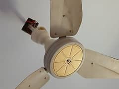 Ceiling Fan