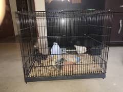 Cage(