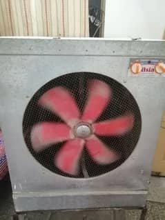 lahori coler good condition