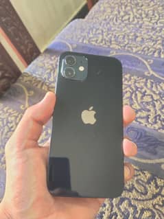 iPhone 12 128GB