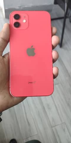 iPhone 12