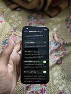 Dual