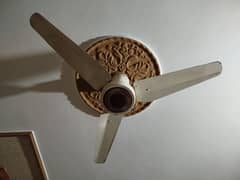 Ceiling Fan