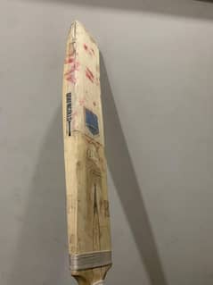 cricket