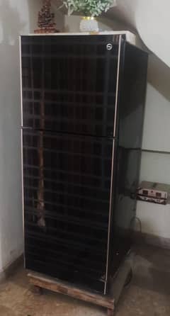PEL freezer for sale