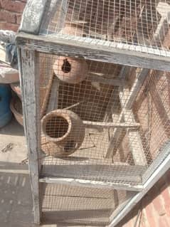 birds cage