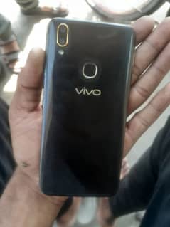 vivo