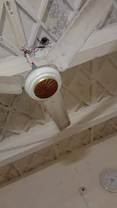 pure copper fan all ok speed viiip he no fult