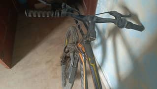 Evergold mtb