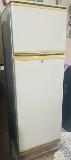Waves fridge