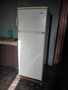 BECO (UK) Fridge urgent Sales
