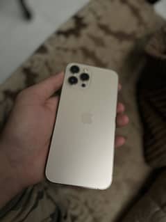Iphone 12 promax