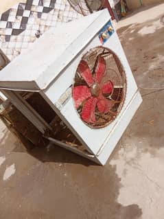Lahori color fan