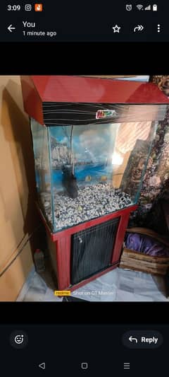 aquarium for sale