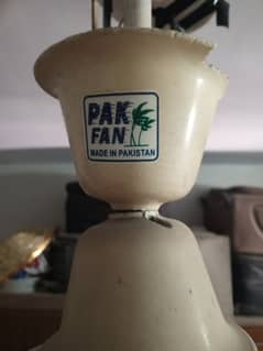 Pak