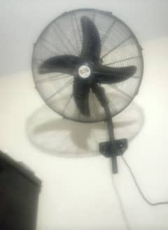 fan