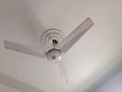 Ceiling