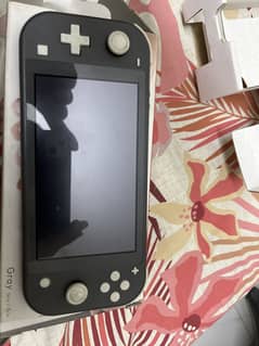 Nintendo switch lite