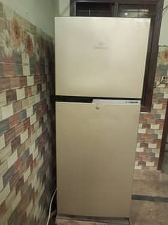 dawlance fridge medium size