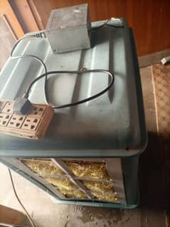 12 volt cooler