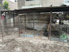 Dog cage & Hen cage.