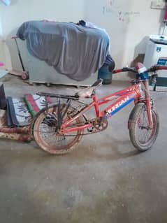 Morgan cycle for 6 t0 8 years old child